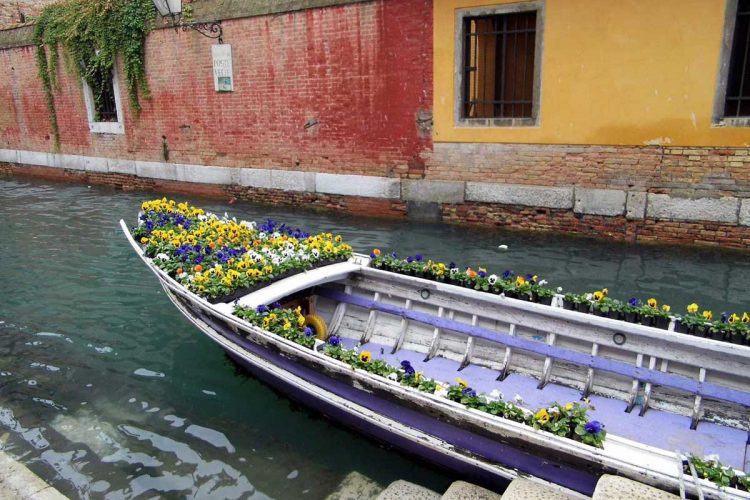 Venice Flower Barge